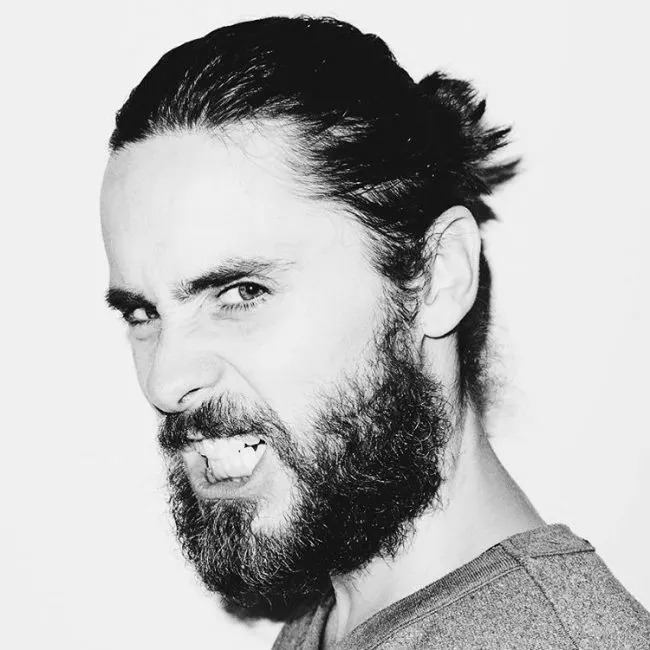 Short Ponytail with Thick Beards