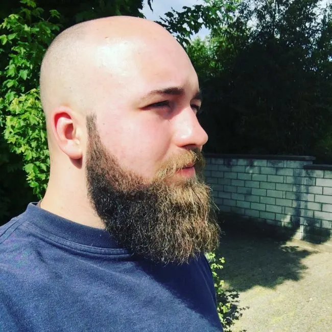 Epic Bald Head and Bearded