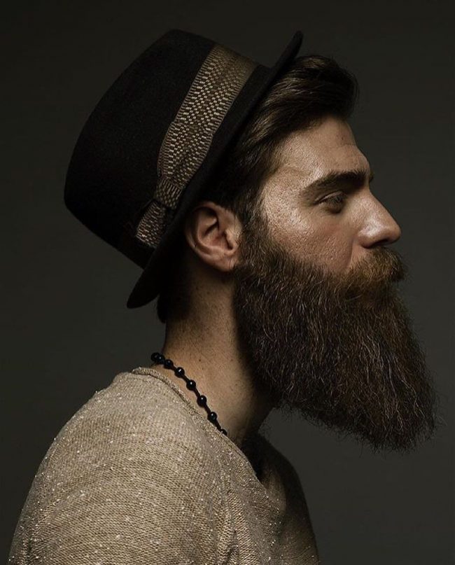 Long Beard Styles 34