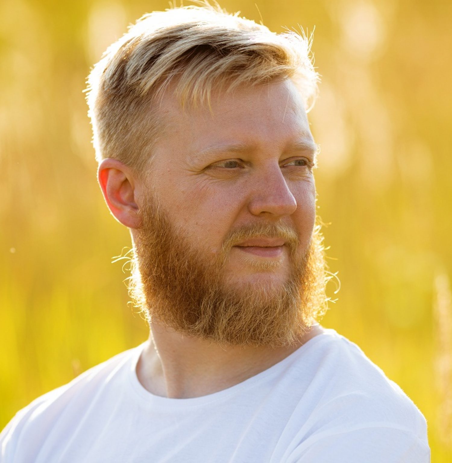 55 Astonishing Blonde Beards Dont Be Shy In 2023 