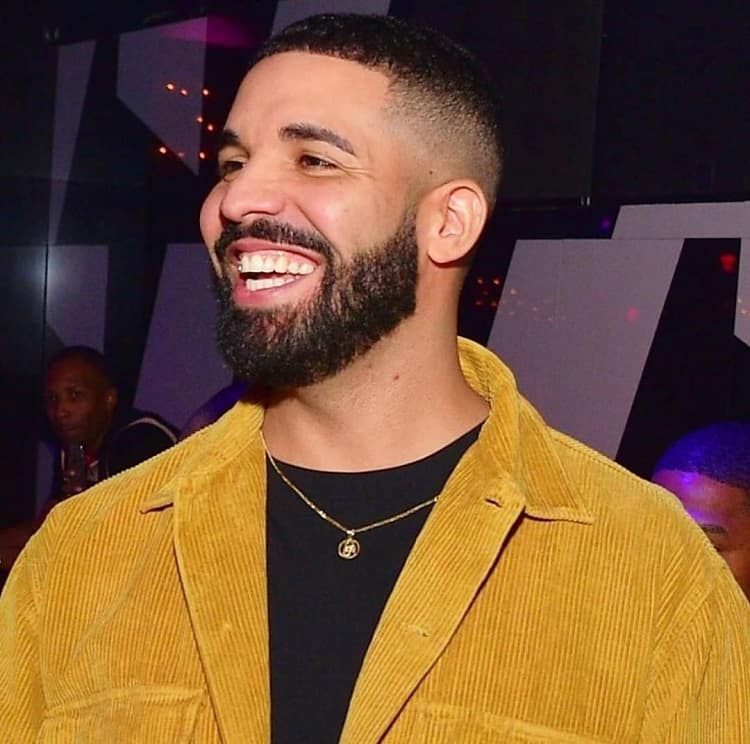 drake with short hair