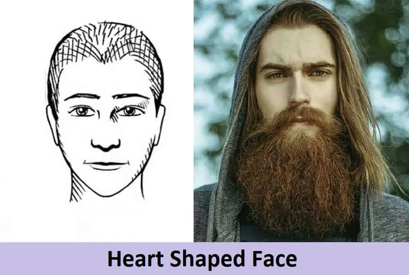 long beard for heart face shape